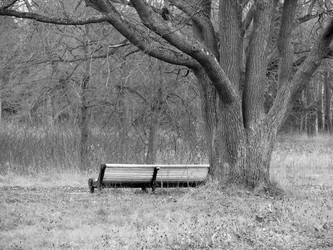 Similar image 139299