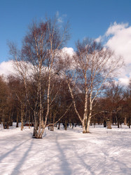 Similar image 139302