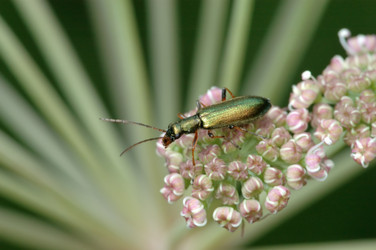 Similar image 139306