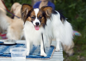 Similar image 139323