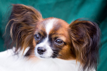 Similar image 139325