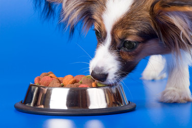 Similar image 139329