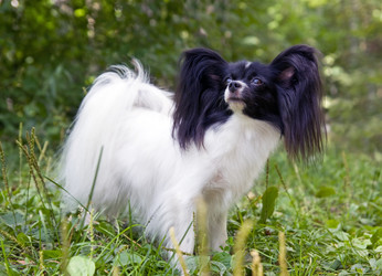 Similar image 139330