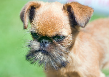 Similar image 139331