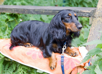 Similar image 139332