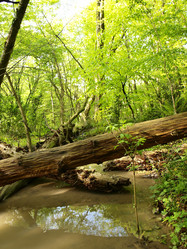 Similar image 139335