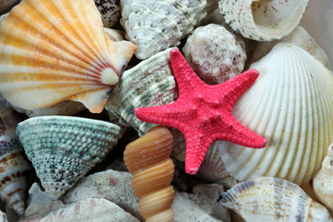 Similar image 139397