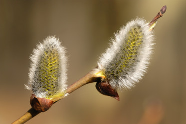 Similar image 139404