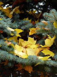 Similar image 139412