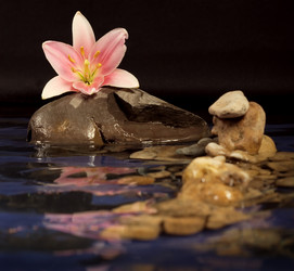 Similar image 139418