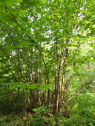 Similar image 139441