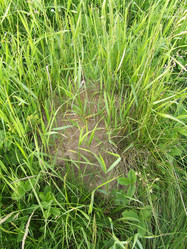 Similar image 139442