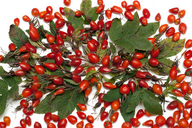 Similar image 139449