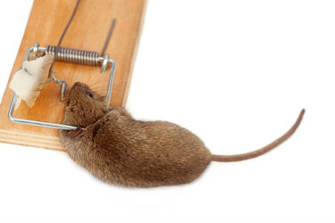 Similar image 139473