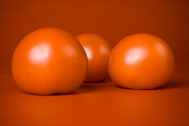 Similar image 139486