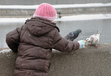 Similar image 139526