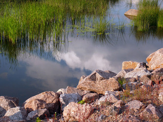 Similar image 139528