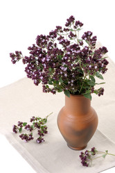 Similar image 139555