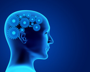 Similar image 139557