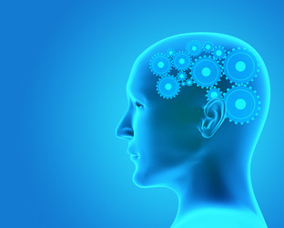 Similar image 139558