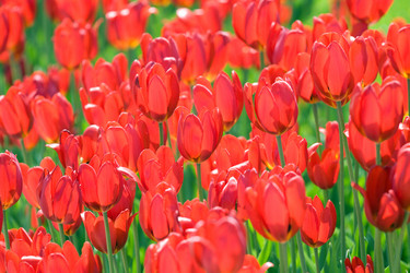 Similar image 139559