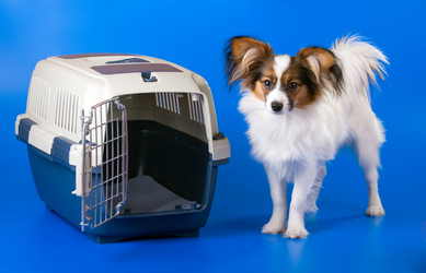 Similar image 139571