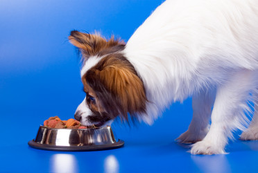 Similar image 139572