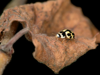 Similar image 139600