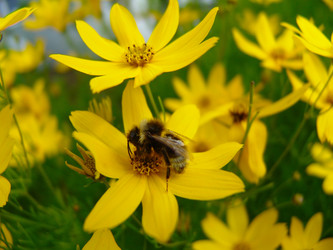 Similar image 139616