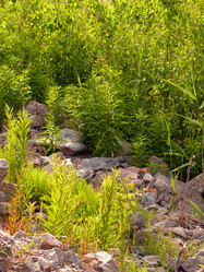 Similar image 139656