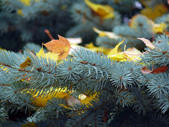 Similar image 139663