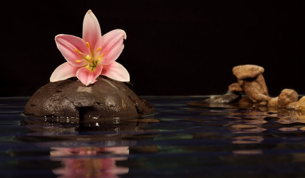 Similar image 139665