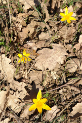 Similar image 139670