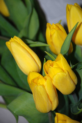 Similar image 139738