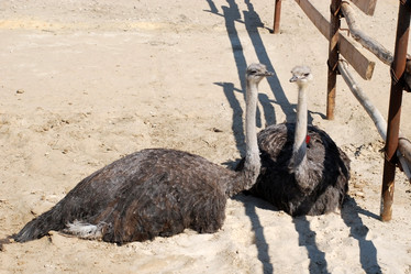 Similar image 139756