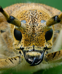 Similar image 139776