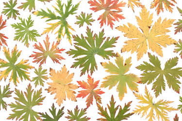 Similar image 139779