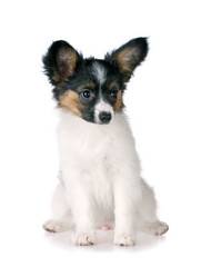 Similar image 139787