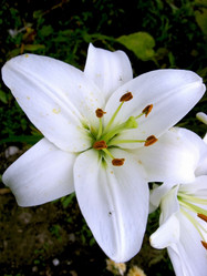 Similar image 139812