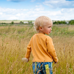 Similar image 139813