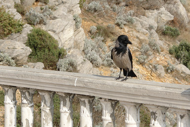 Similar image 139814