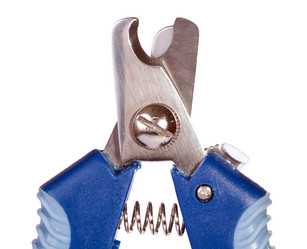 Similar image 139831