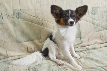 Similar image 139837