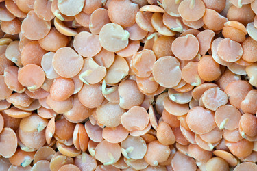 Similar image 139838