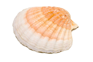 Similar image 139888