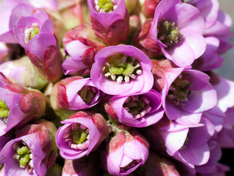 Similar image 139896