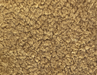 Similar image 139923