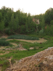 Similar image 139930