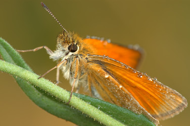 Similar image 139933