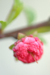 Similar image 139936